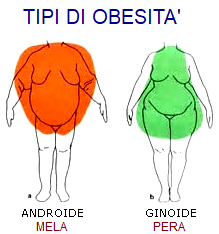  OBESITA' ANDROIDE E GINOIDE - TIPI DI OBESITA'  INDICE MASSA CORPOREA - grasso essenziale e grasso complessivo - 100 DIETE PER L'OBESITA' MASCHILE E FEMMINILE