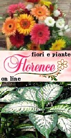 FLORENCE VENDITA FIORI ON LINE CONSEGNA IN GIORNATA