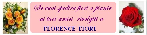 Acquista fiori online da FLORENCE FIORI